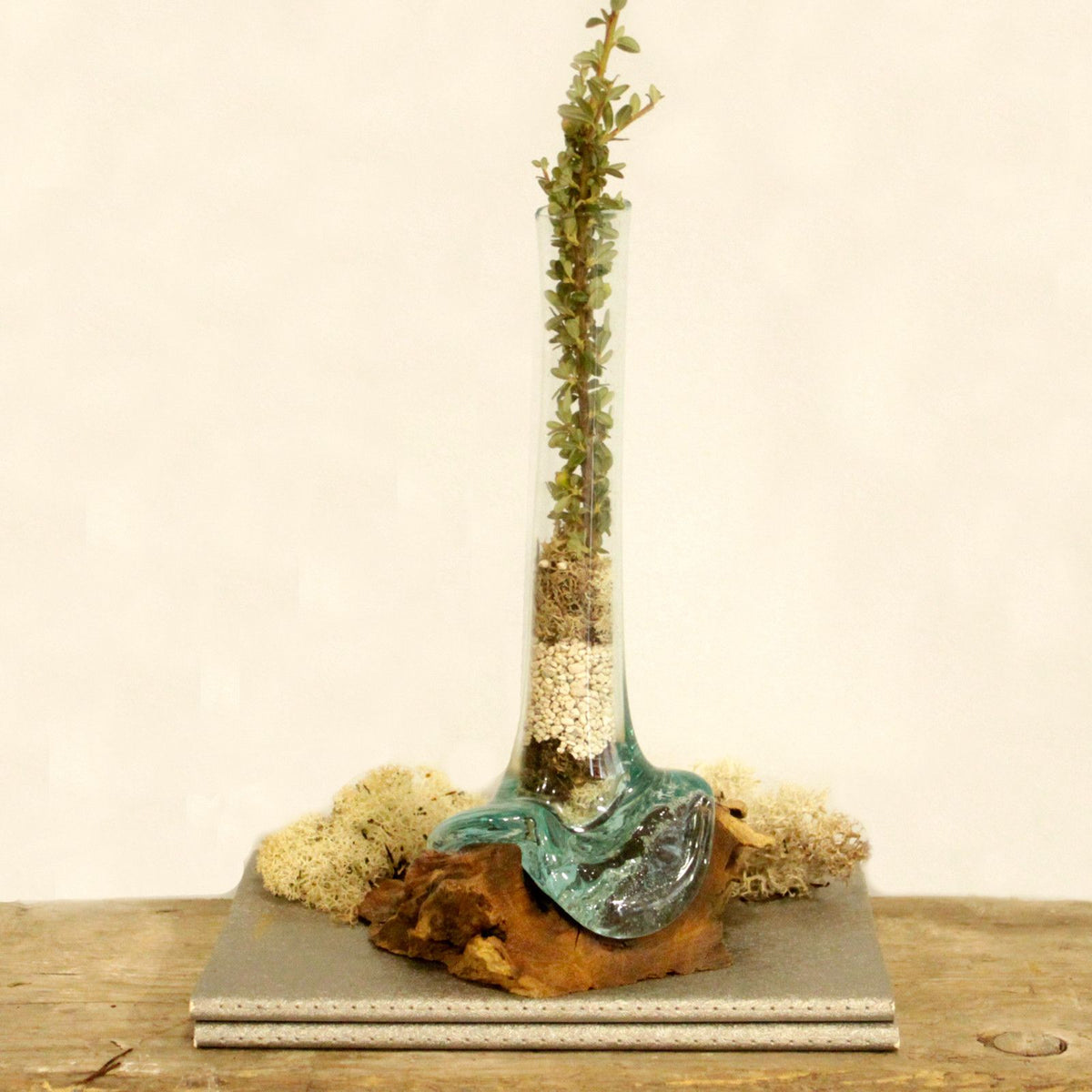 Vase sculptural en verre sur bois — Chaque pièce est unique