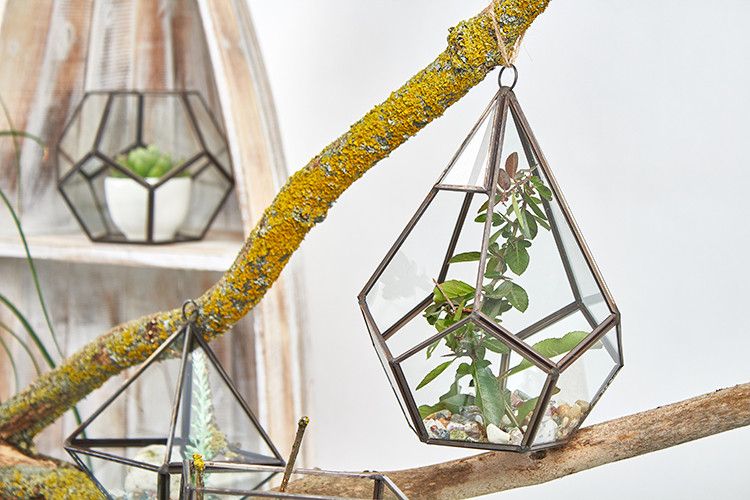 Terrarium géométrique en verre et métal, vendu sans plantes ni décor