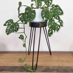Détail du support pour plantes Échappée végétale, patine turquoise et décor doré